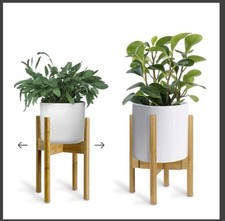 Adjustable bamboo plant for sale  Las Vegas