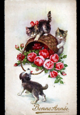 Cat dog with d'occasion  Expédié en Belgium