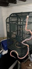 Bird cage parrot for sale  Bethlehem