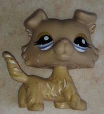 Petshop chien colley d'occasion Petshop chien colley d'occasion  France