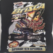 Incarace spedeworth brisca for sale  NOTTINGHAM