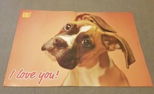 Rare boxer dog usato  Spedire a Italy