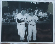 Ted williams mickey for sale  Onamia