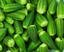 okra seeds for sale okra seeds for sale Minneapolis