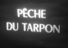 Pêche tarpon gien d'occasion  France