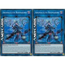 Aromalilith rosmarino super usato  Ravenna