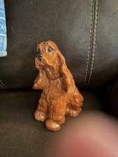 Larger size cocker for sale  Chicago