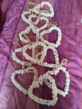 Creamy white shell for sale  KINGSBRIDGE