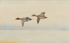 Philip rickman original for sale  NEWPORT