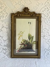 Antique art nouveau for sale  Hillsboro