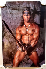 Arnold schwarzenegger conan for sale  Goddard