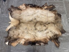 Nice tanned montana for sale  Great Falls