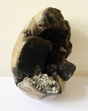 Natural septarian fossil for sale  LONDON