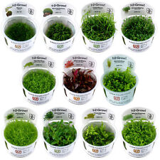 Tropica foreground live for sale  DARTFORD