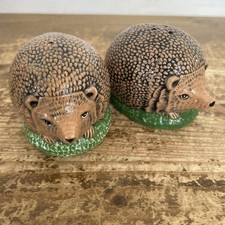 Hedgehog salt pepper for sale  LEEK