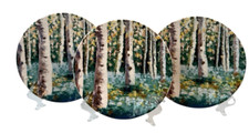 Birch tree forest for sale  North Aurora