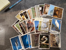 Autocollants animaux panini d'occasion  Semblançay