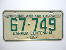 1967 newfoundland labrador for sale  Joshua Tree
