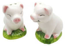 Pig piglets salt for sale  Kirkville