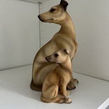 whippet puppies for sale whippet puppies for sale BIRMINGHAM
