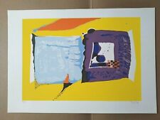 Serigrafia wladimiro tulli usato  Civitanova Marche