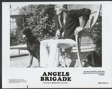 Peter lawford brigata usato  Spedire a Italy