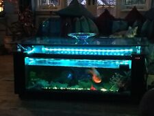 Coffee table fish for sale  BENFLEET