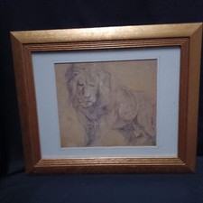 Study lion peter for sale  MAIDSTONE