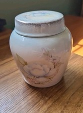 Royal worcester spode for sale  WADHURST