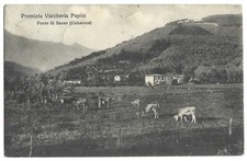 Ponte sasso camaiore usato  Uzzano