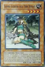 Signora guerriera delle usato  Calcinaia