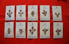 images pieuses relique Fleurs séchées Terre Sainte Flowers Holy Land santini lot comprar usado  Enviando para Brazil