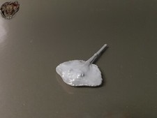 Stachelrochen fisch tier gebraucht kaufen  Deutschland