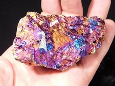 Bright iridescent peacock for sale  Salt Lake City