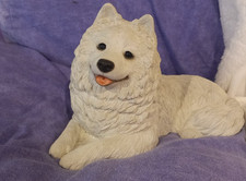 Sandicast samoyed dog for sale Sandicast samoyed dog for sale  DUNFERMLINE