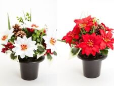 Christmas poinsettia grave for sale  EXETER
