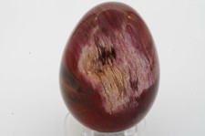 Oeuf bois fossile d'occasion  Lille-