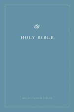 Esv economy bible for sale  Montgomery