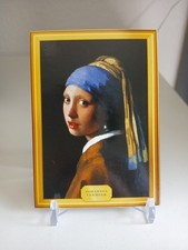 Johannes vermeer girl gebraucht kaufen  Kassel