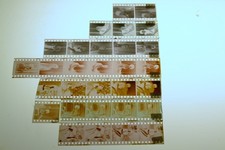 1960 camera club for sale  SANDHURST