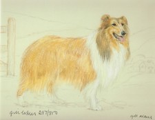Usado, Edição Limitada Rough Collie Print, Rough Collie Picture, GE 80P comprar usado  Enviando para Brazil