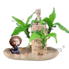 Brazilian wood sprouting for sale  DUNSTABLE