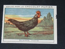 Chromo chocolat pupier d'occasion  Vendat