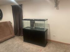 Gallon aquarium fish for sale  New Lenox