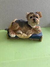 Country artists yorkie for sale  SHANKLIN