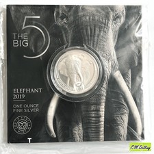 Five 2019 elephant gebraucht kaufen  Freiberg