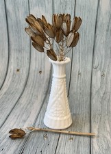 Cacto de aloe vera seco, vagens de sementes suculentas / arranjos florais / fornecimento de artesanato comprar usado  Enviando para Brazil