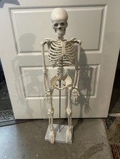 anatomical skeleton for sale anatomical skeleton for sale Denver