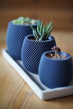 3 pot set succulents for sale 3 pot set succulents for sale Hurst