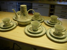 Noritake paradise 20tlg gebraucht kaufen  Lingenfeld